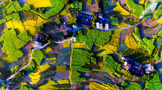 赶紧收藏！绝美2021年永春日历！