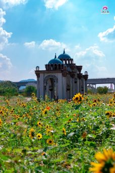 墨潭桃花岛-吉水-YoYo_3B6I7Q0C