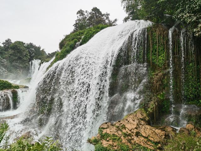 老木棉·紫园景区旅行图片 1