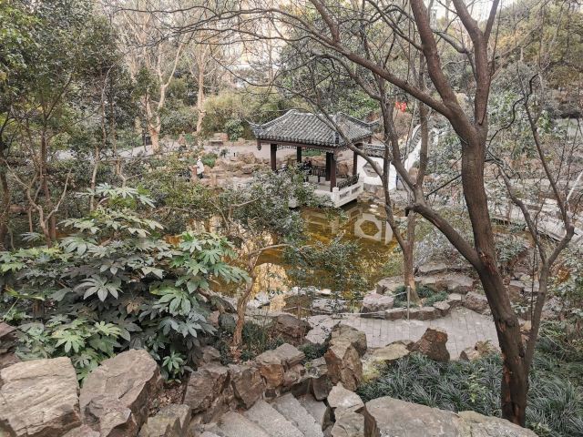 蓬莱公园旅行图片 5