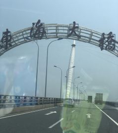 花鸟岛游记图文-嵊泗花鸟岛：海岛悠闲4日游，来了就不想走~~~