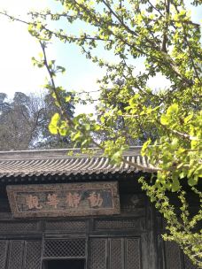 大觉寺-北京-西西是我