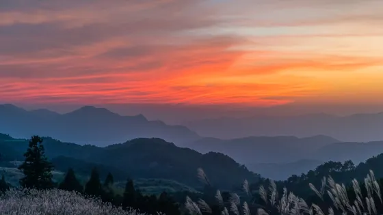 雪峯山