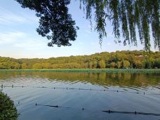 孤山-杭州-谁说我不是善男信女