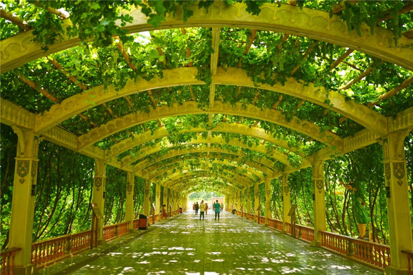 吐鲁番的宝藏景区,历史悠久,风景如画,去过的人都称赞
