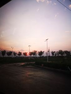 临沂市科技馆-临沂-小白_1912