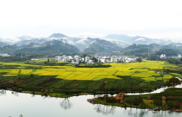 月亮湾旅行图片 3