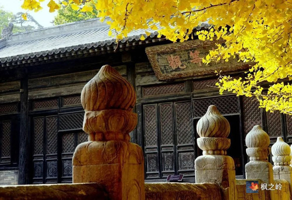 北京记事|西山大觉寺