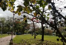 东峰公园景点图片