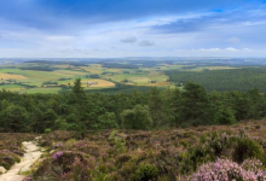 凯恩戈姆国家公园景点图片