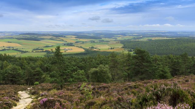 8-Day Scotland Tour·Loch Lomond, Glencoe Valley, Cairngorms, Edinburgh Castle