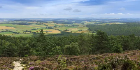 凱恩戈姆國家公園