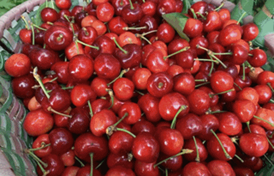 汶川“天府旅游名品”出炉！你最pick哪个？