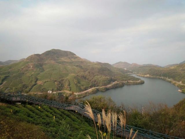 龙里大草原景区旅行图片 3