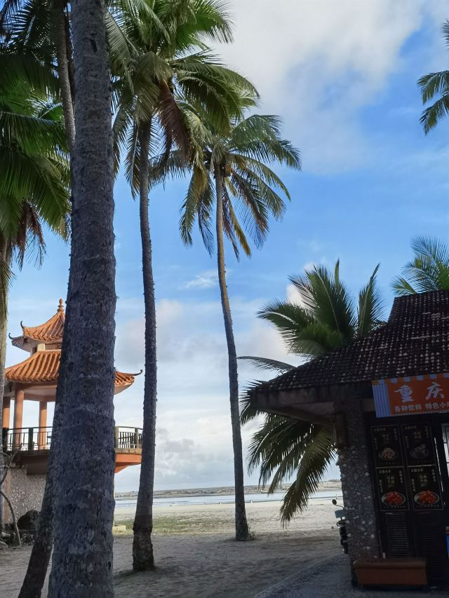 东郊椰林风景名胜区旅行图片 12