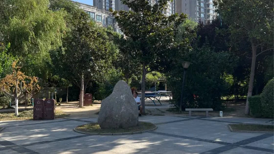竹苑