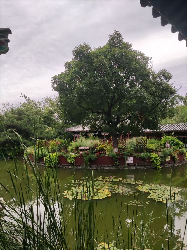 宣武艺园旅行图片 12