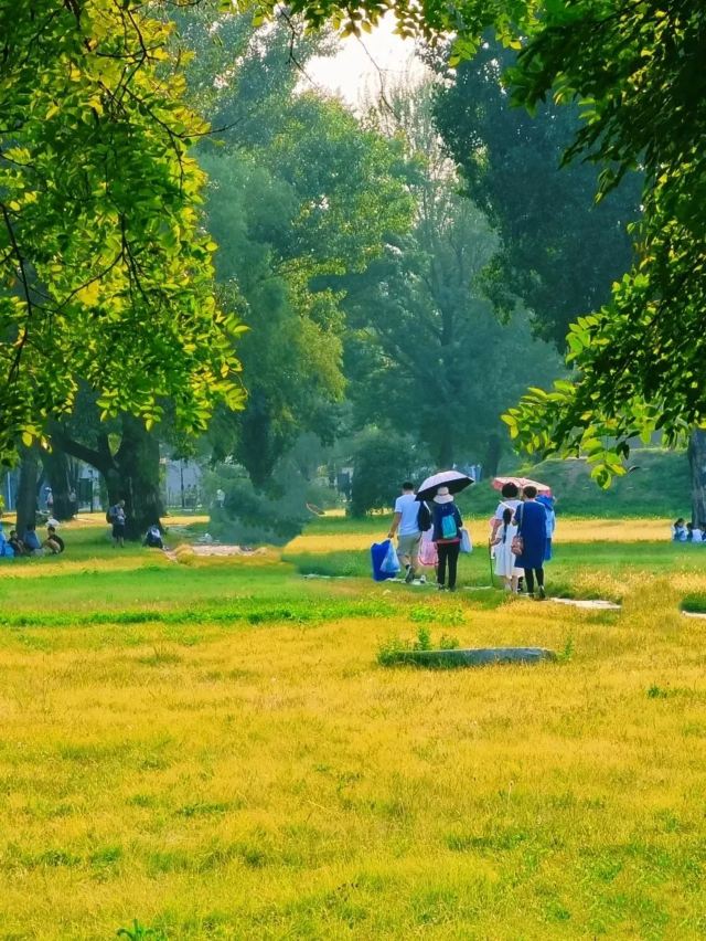 龙里大草原景区旅行图片 3