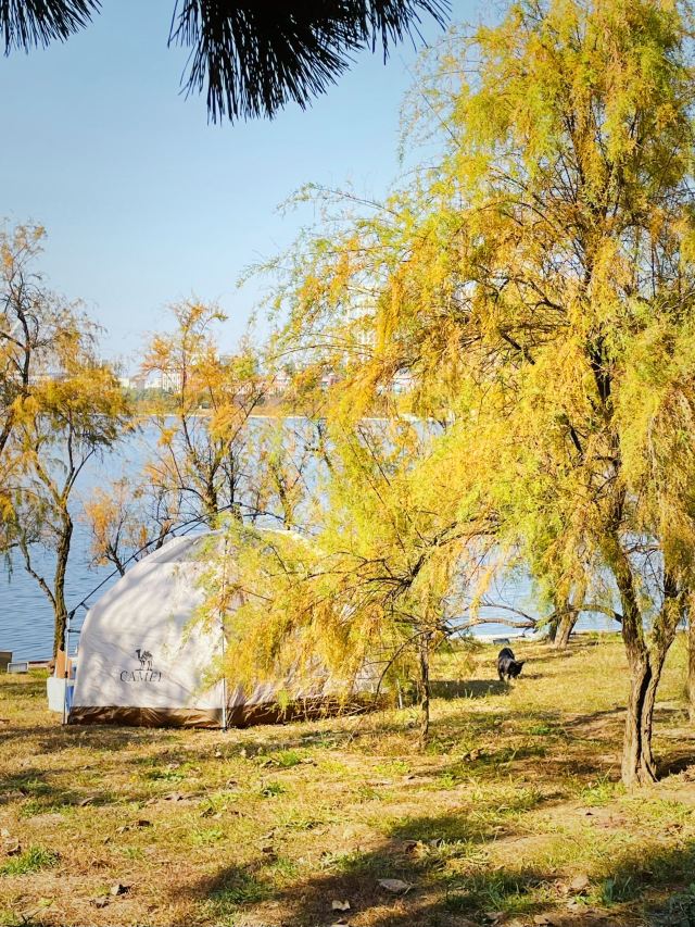 青岛葫芦巷主题公园旅行图片 2