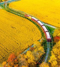 太仓游记图文-稻香秋味，“趣”太仓田园拾趣