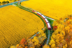 太仓游记图片] 稻香秋味，“趣”太仓田园拾趣