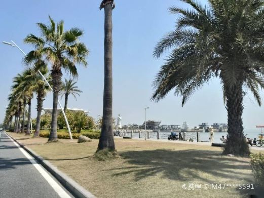 会展中心沙滩