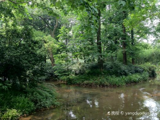 江苏东湖湿地公园
