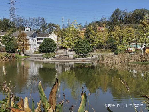 深溪莲池湿地公园