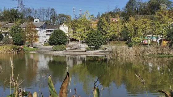 深溪蓮池濕地公園