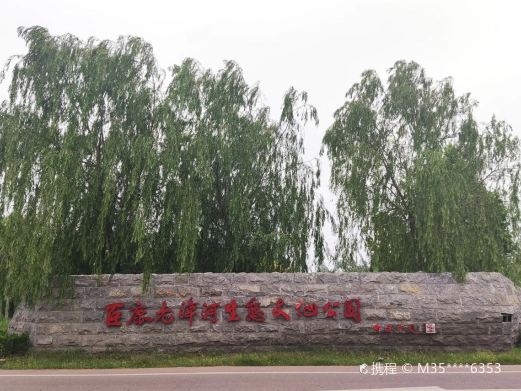 巨鹿县老漳河生态文化公园