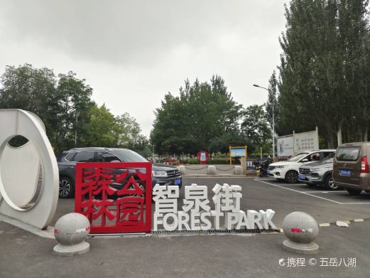 森林公园