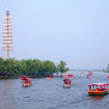 白洋淀图片