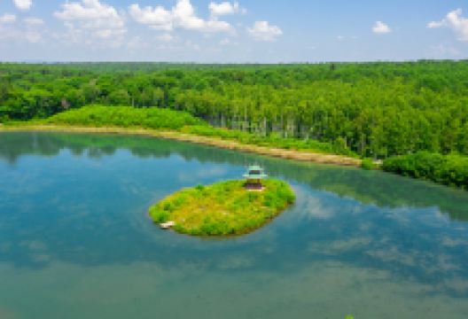 露水河国家森林公园景点图片