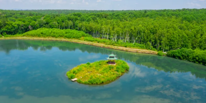 露水河國家森林公園