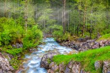 魔法森林-拉姆绍