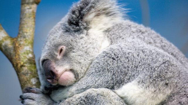 台北市立动物园