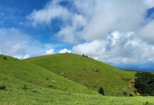 十万大山国家森林公园景点图片