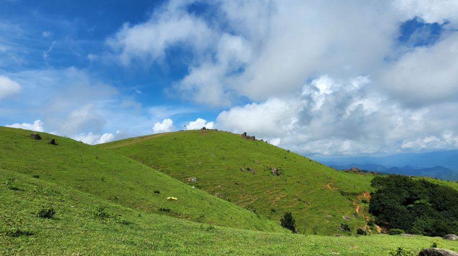 十万大山国家森林公园