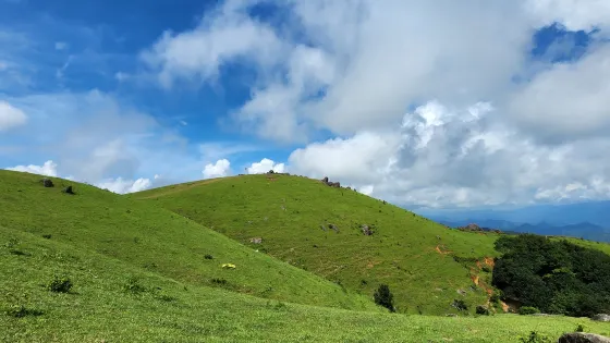 十萬大山國家森林公園