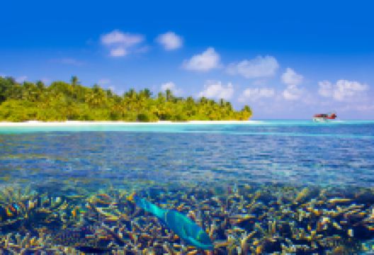 白马庄园兰德利岛景点图片