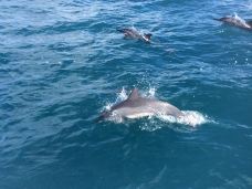 七色土-毛里求斯-Hej Hej Tiffany