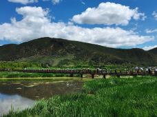 草海-盐源-无敌侠客