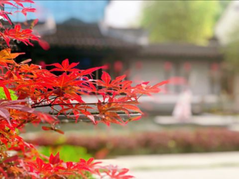 秋天的瀛湖，和老友一游就上头