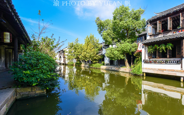苏州男子在黎里古镇卖油墩,轻松年入百万,已成当地的网红美食