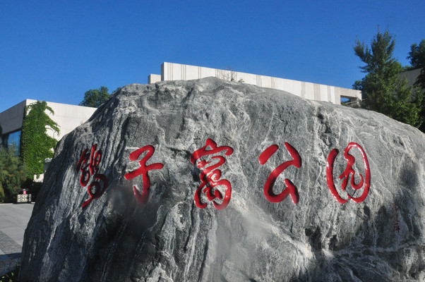 河北游记之秦皇岛鸽子窝公园