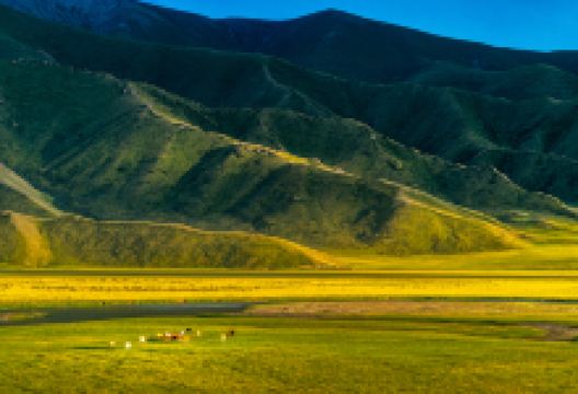 哈达门高原牧场景点图片