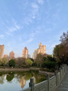 和平公园-上海-霞光升起