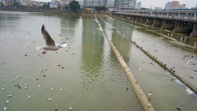 旌湖文化艺术长廊旅行图片 2