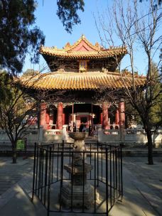 孔庙-曲阜-路易美帝奇