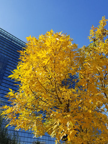 所有的美好都值得记录